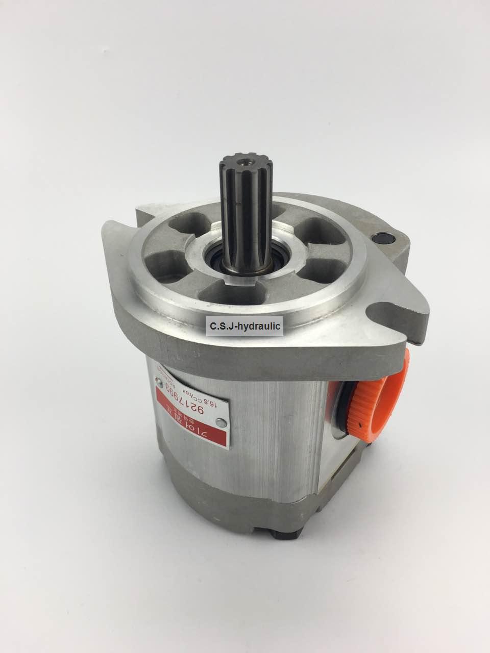 Hitachi gear pump (9217993)