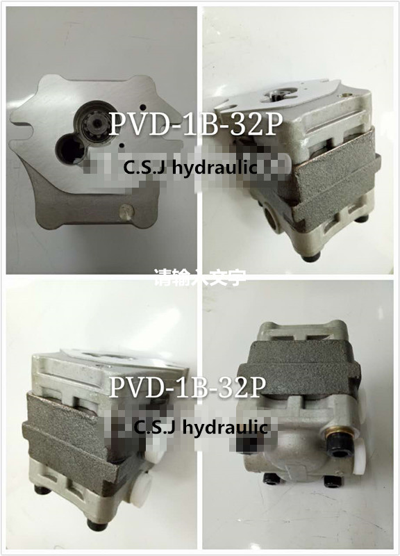PVD-1B-32P gear pump